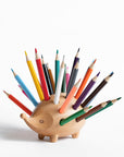 Hedgehog Haven Pen Holder