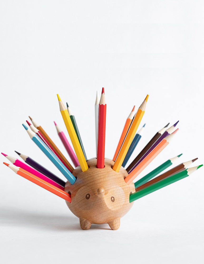 Hedgehog Haven Pen Holder