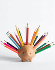 Hedgehog Haven Pen Holder