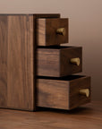 Elevate Multi-Layer Desk Organizer