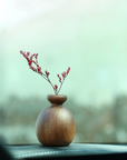 Aroma Nest