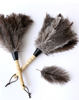 Feather Whisper