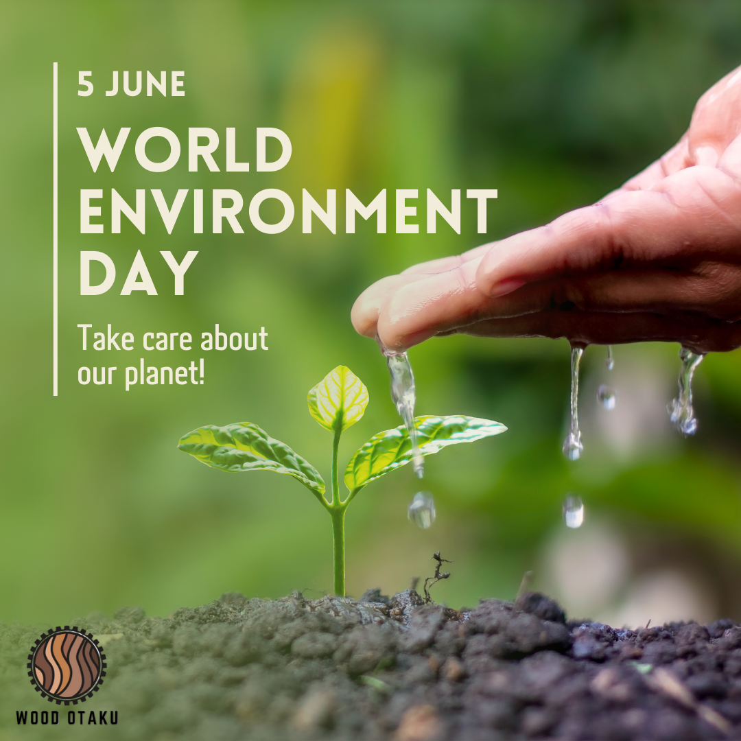 Building a Sustainable Future with Wood and Celebrating World Environment Day