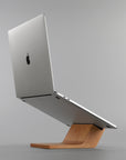 Cherry Blossom MacBook Stand